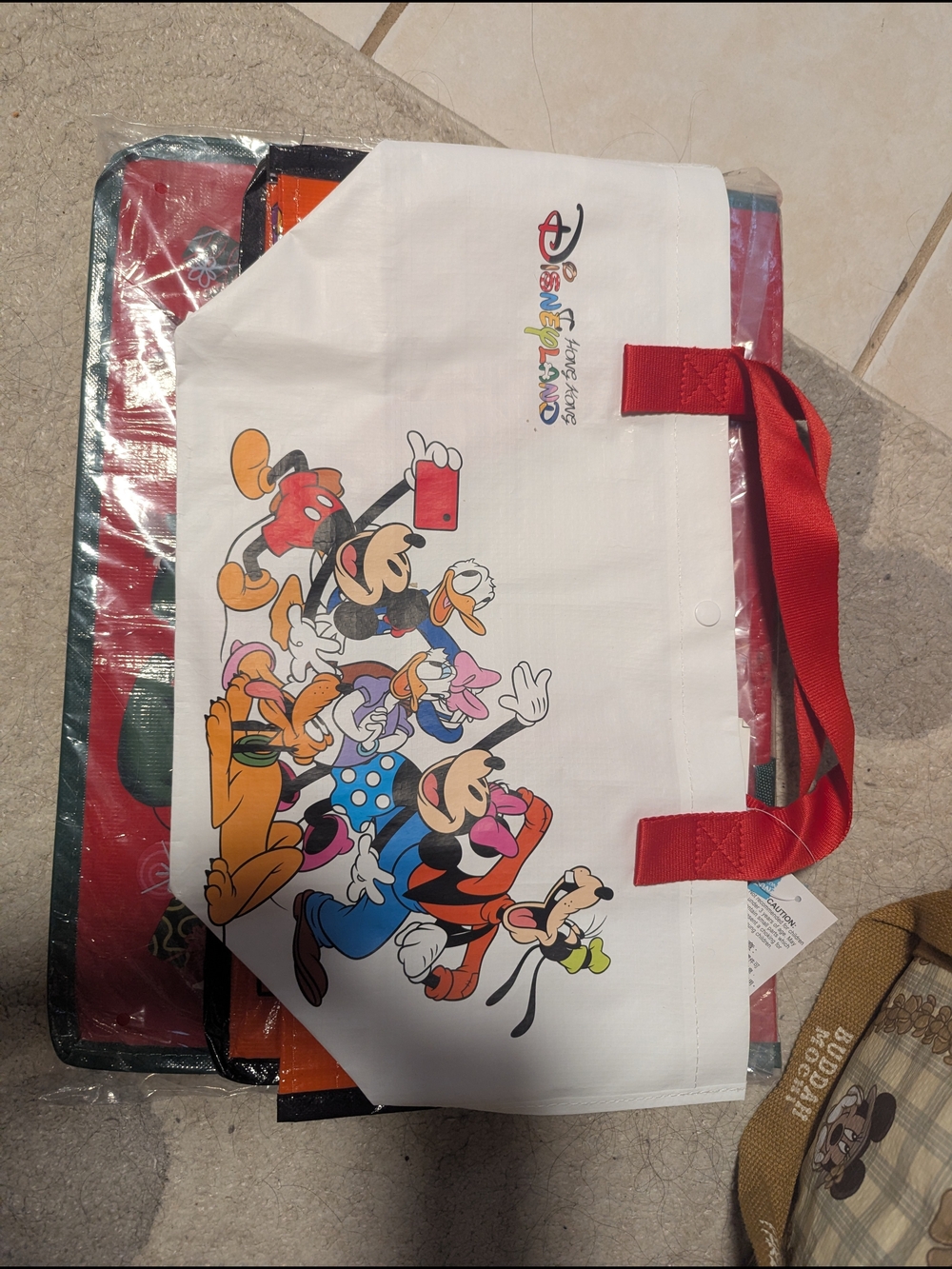 Hong Kong Disneyland Reusable Tote